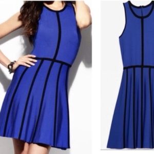 Parker cobalt blue knit skater dress